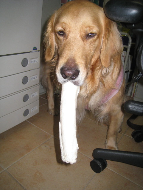 ファイル 812-1.jpg