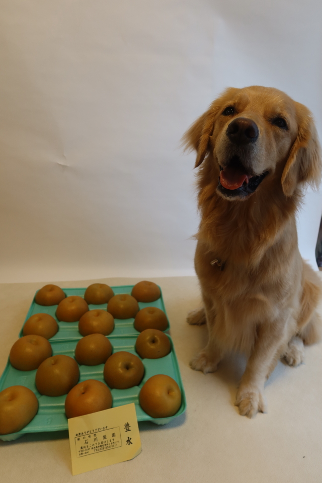 ファイル 8122-1.jpg