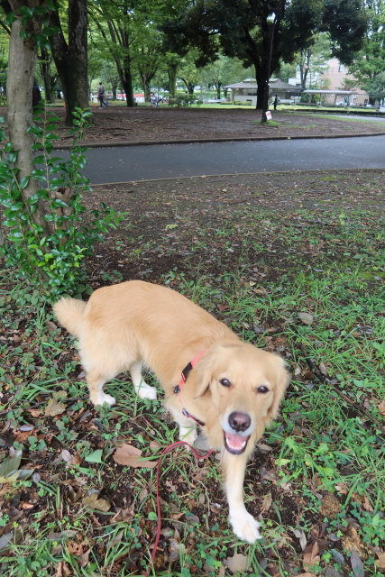 ファイル 8124-4.jpg