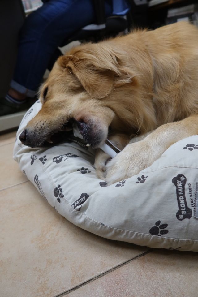 ファイル 8124-5.jpg