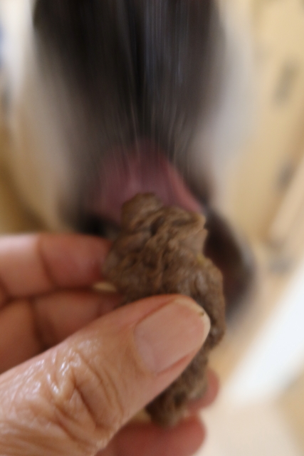 ファイル 8125-2.jpg