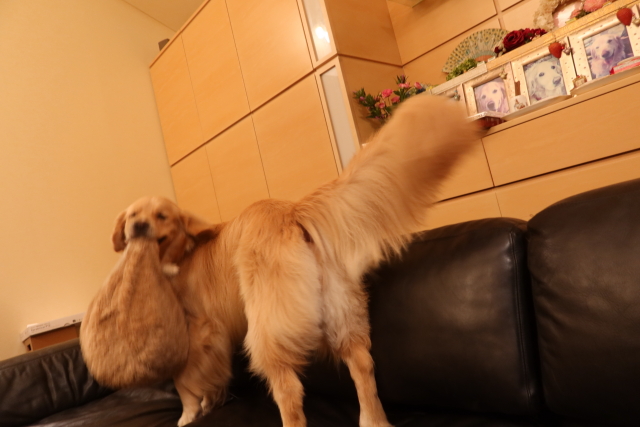 ファイル 8125-3.jpg