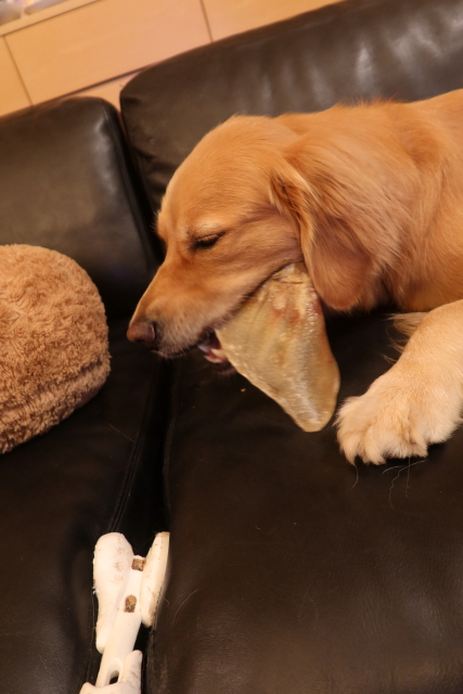 ファイル 8125-5.jpg