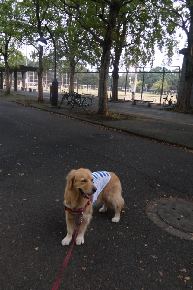 ファイル 8127-5.jpg