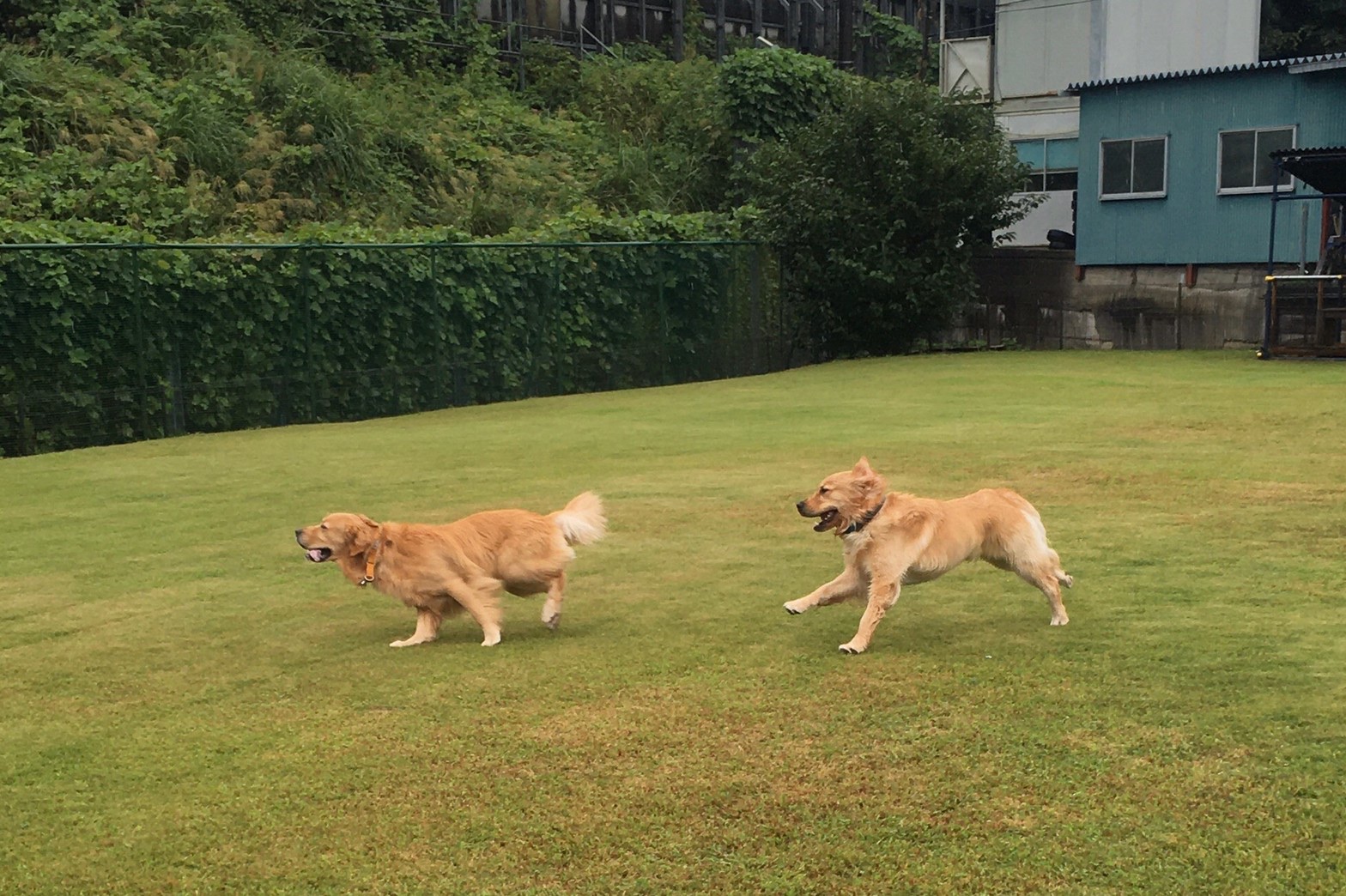 ファイル 8128-2.jpeg