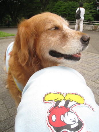 ファイル 813-1.jpg