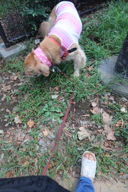 ファイル 8130-2.jpg