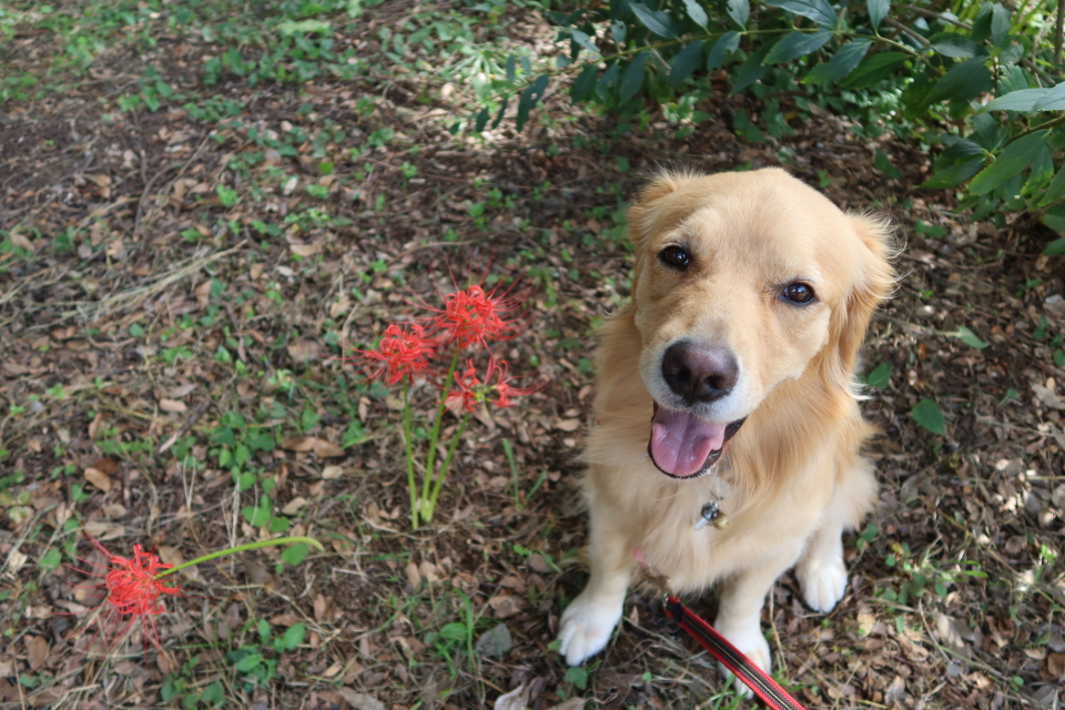 ファイル 8133-3.jpg