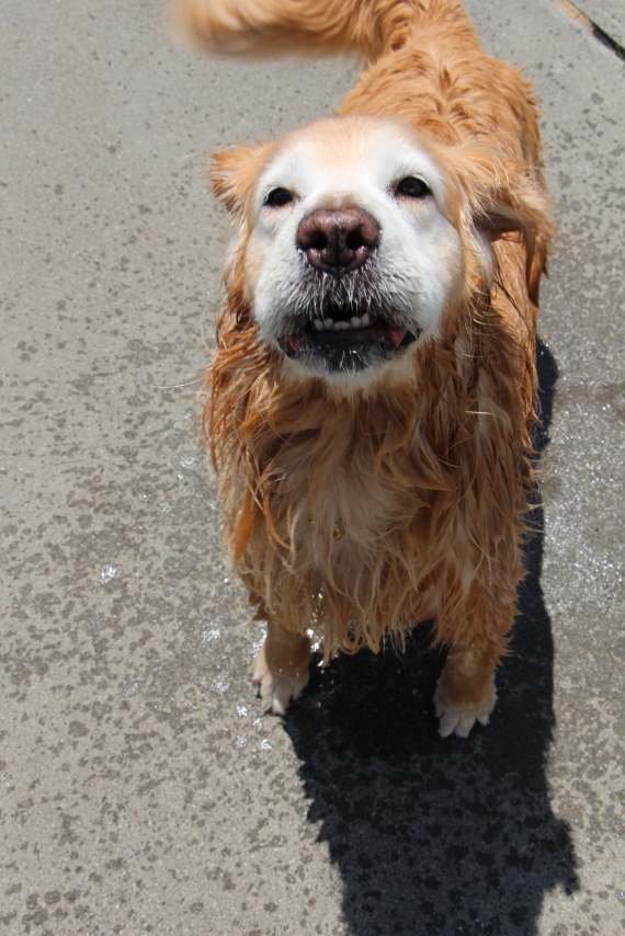 ファイル 8135-2.jpg