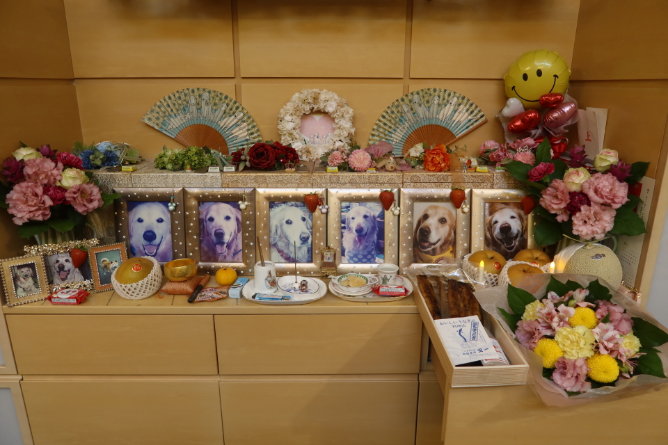 ファイル 8135-4.jpg