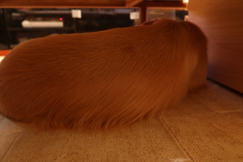 ファイル 8137-3.jpg