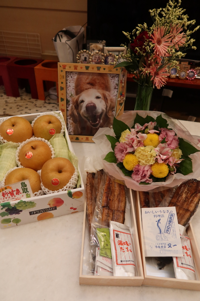 ファイル 8139-1.jpg