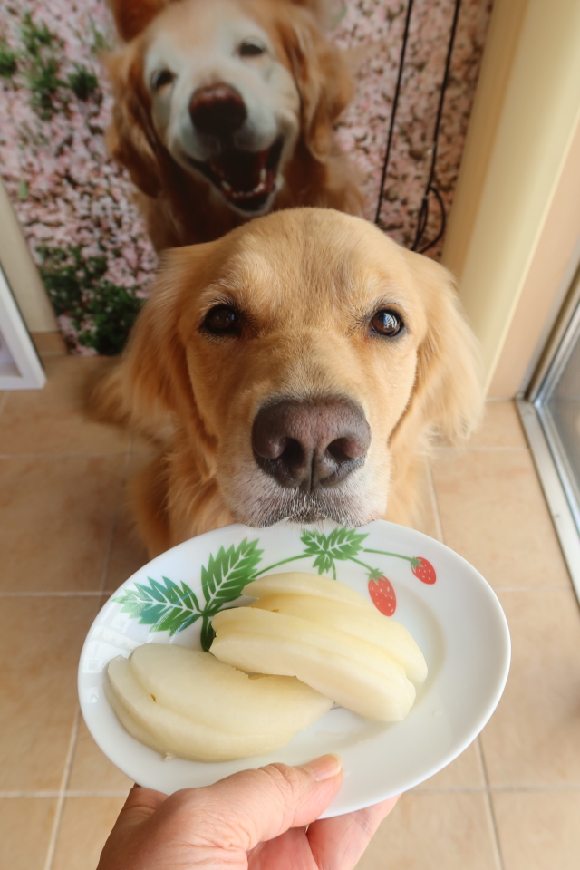 ファイル 8139-2.jpg