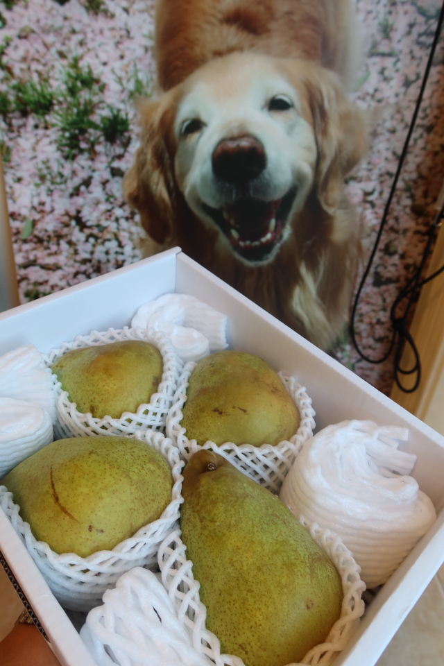 ファイル 8139-5.jpg