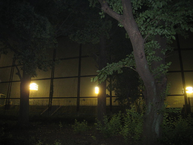 ファイル 814-1.jpg