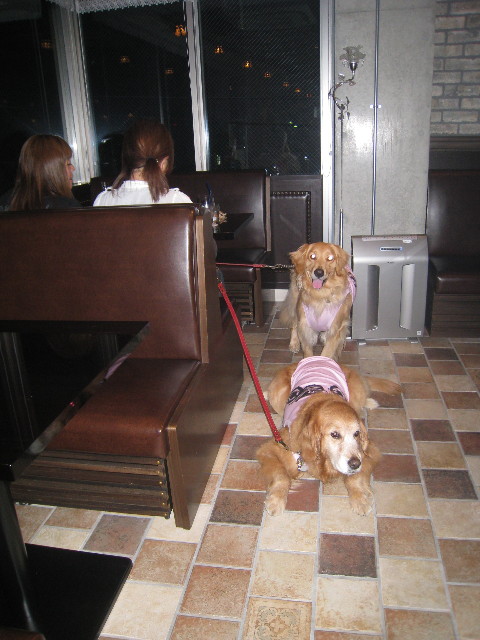 ファイル 814-3.jpg