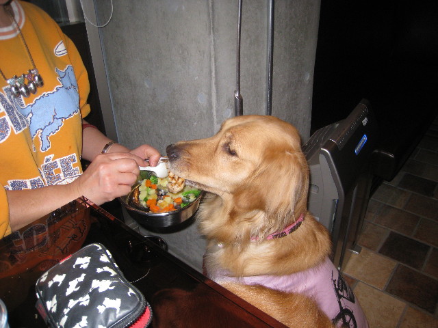 ファイル 814-5.jpg