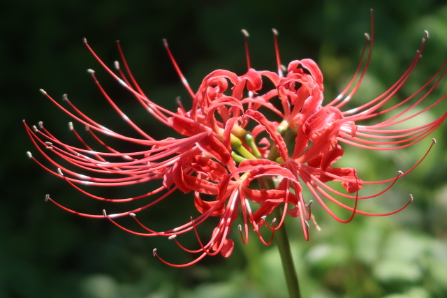 ファイル 8140-3.jpg