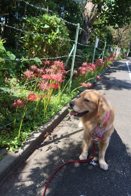 ファイル 8140-5.jpg