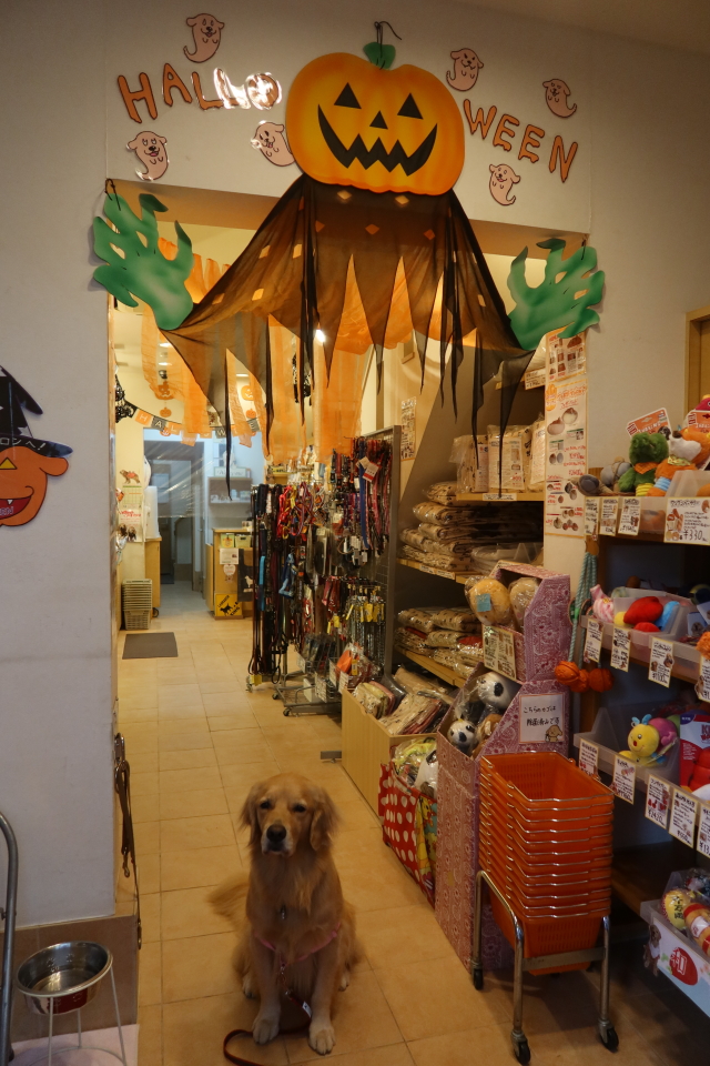 ファイル 8145-1.jpg