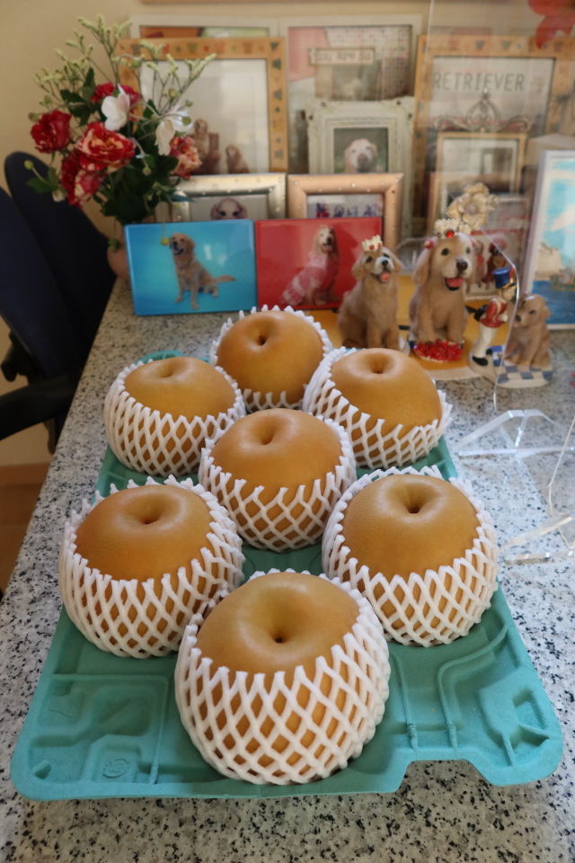 ファイル 8145-4.jpg