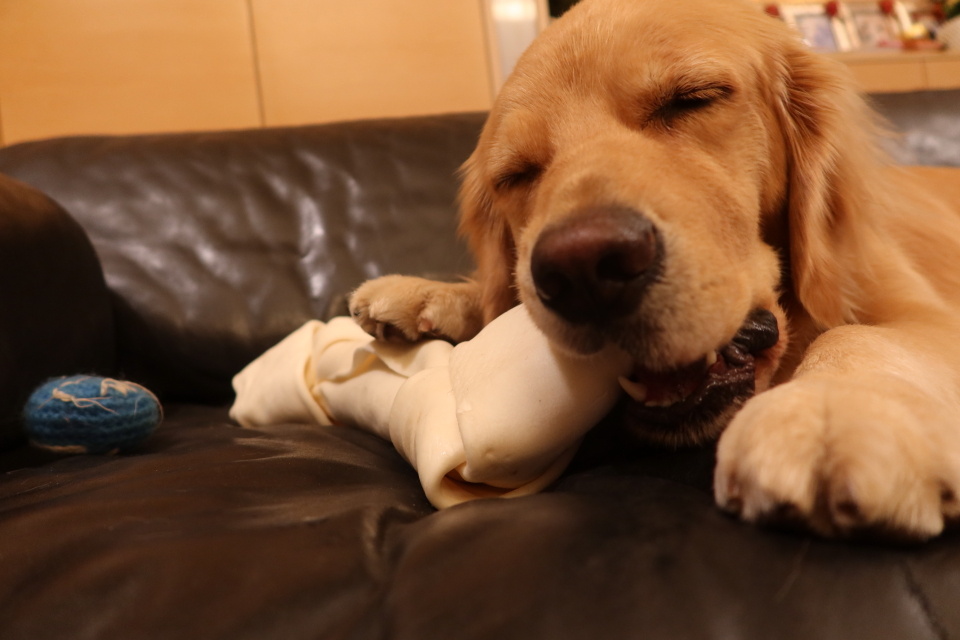 ファイル 8148-4.jpg