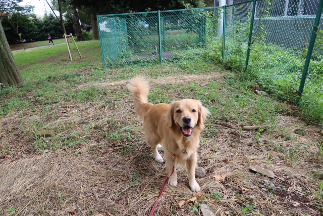 ファイル 8149-4.jpg