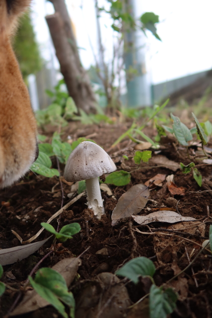 ファイル 8149-5.jpg