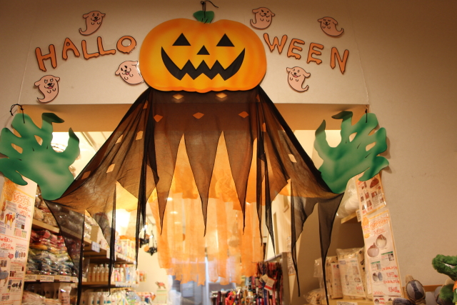 ファイル 8151-4.jpg