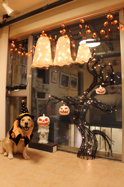 ファイル 8151-5.jpg