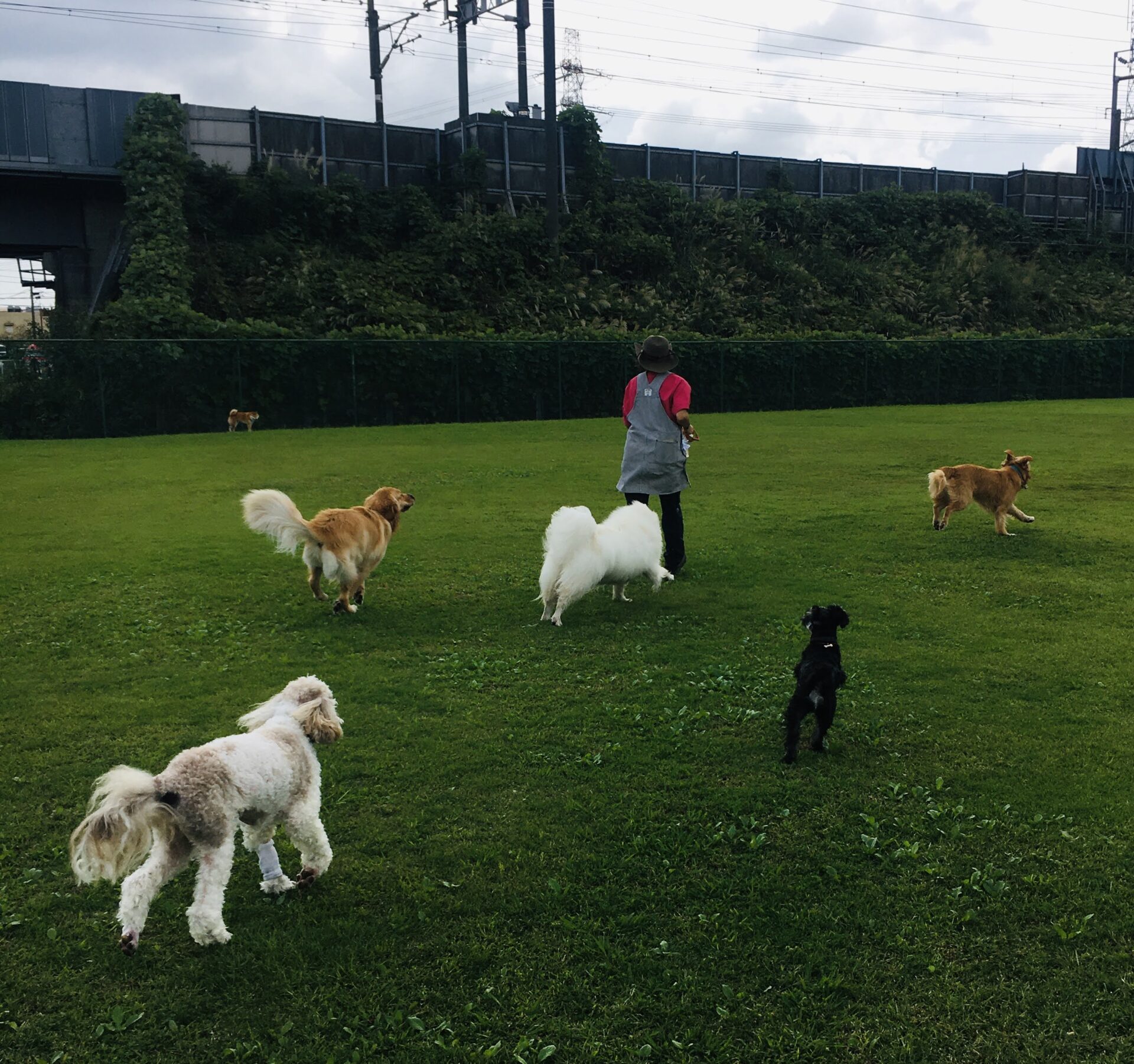 ファイル 8152-1.jpeg