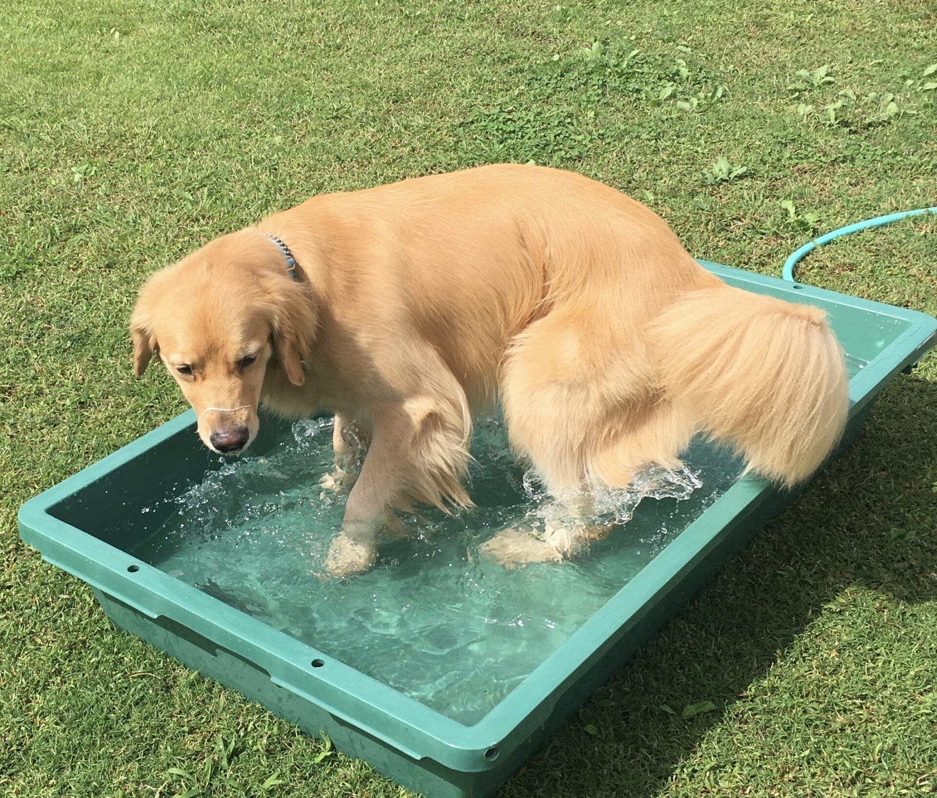 ファイル 8152-3.jpeg