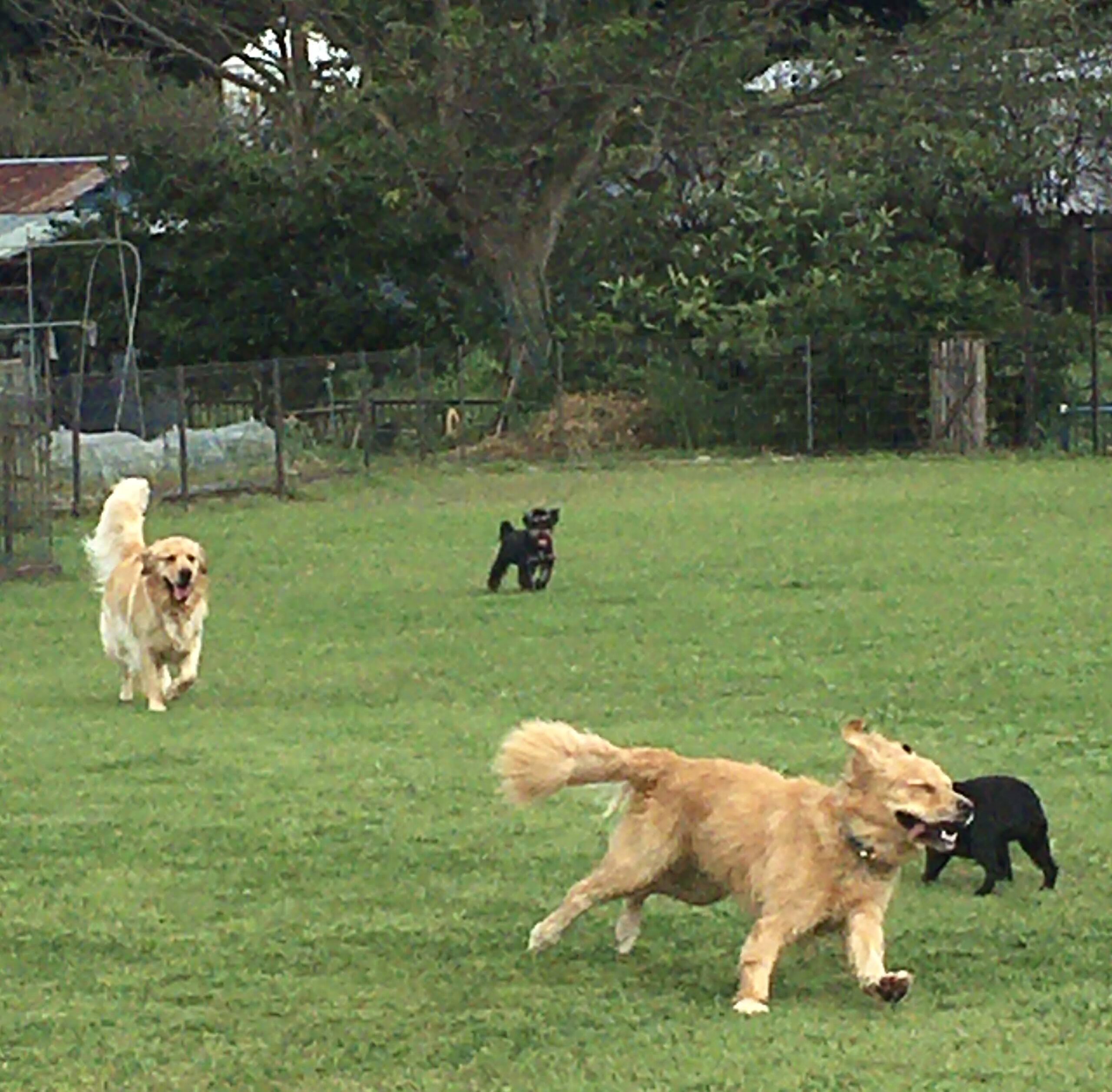 ファイル 8152-4.jpeg