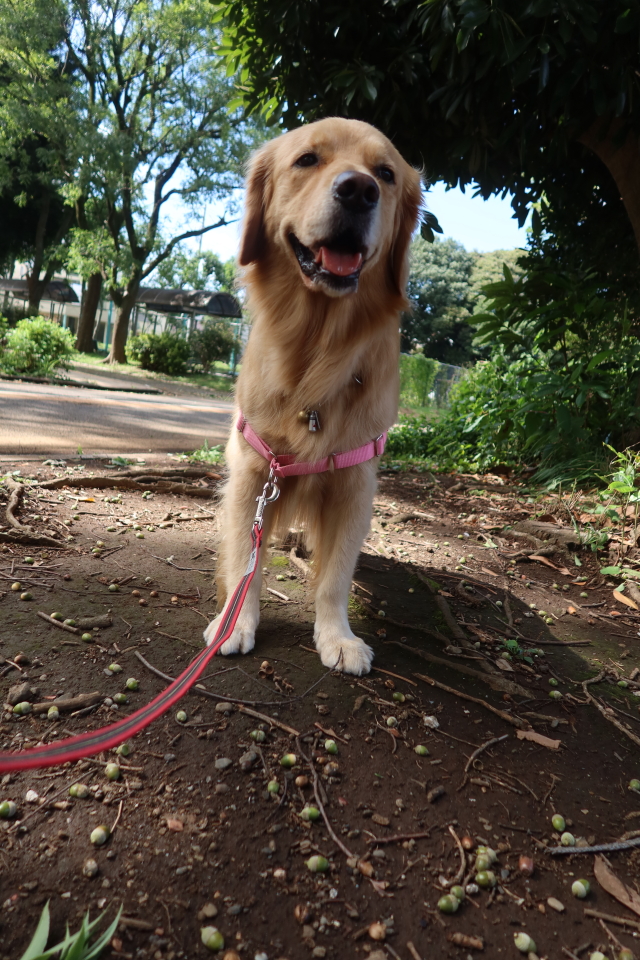 ファイル 8153-2.jpg