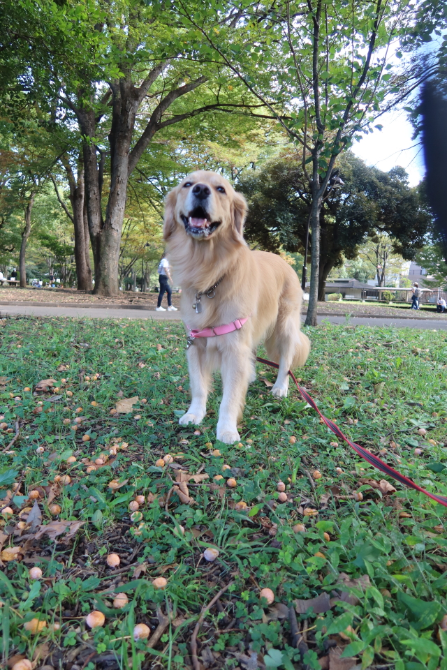 ファイル 8153-3.jpg