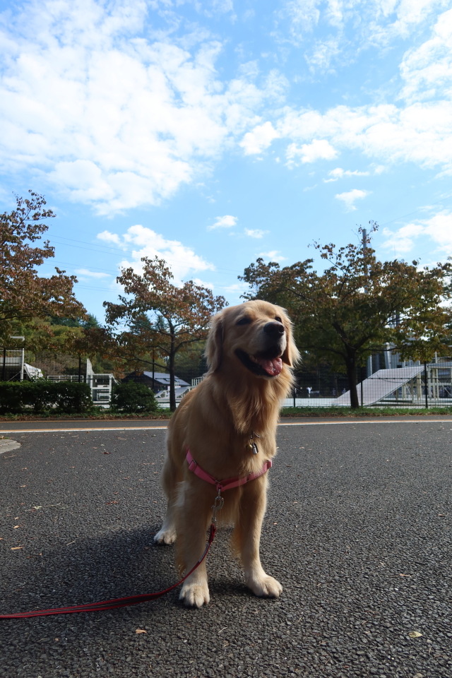 ファイル 8153-5.jpg