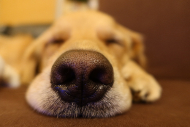 ファイル 8154-2.jpg