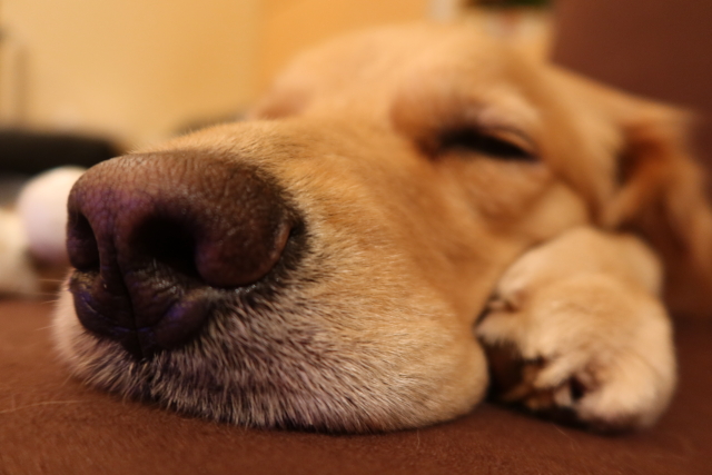 ファイル 8154-3.jpg