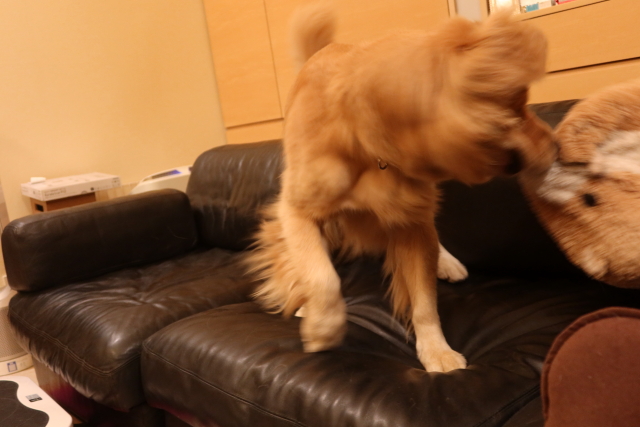 ファイル 8154-4.jpg