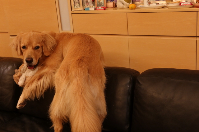 ファイル 8154-5.jpg