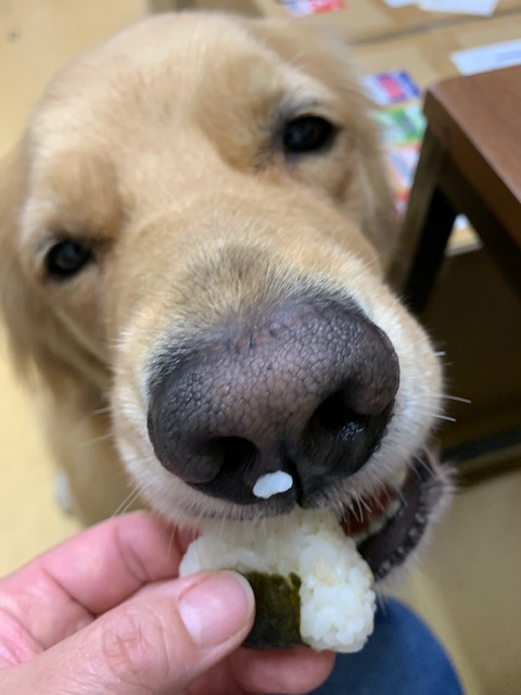 ファイル 8156-5.jpg