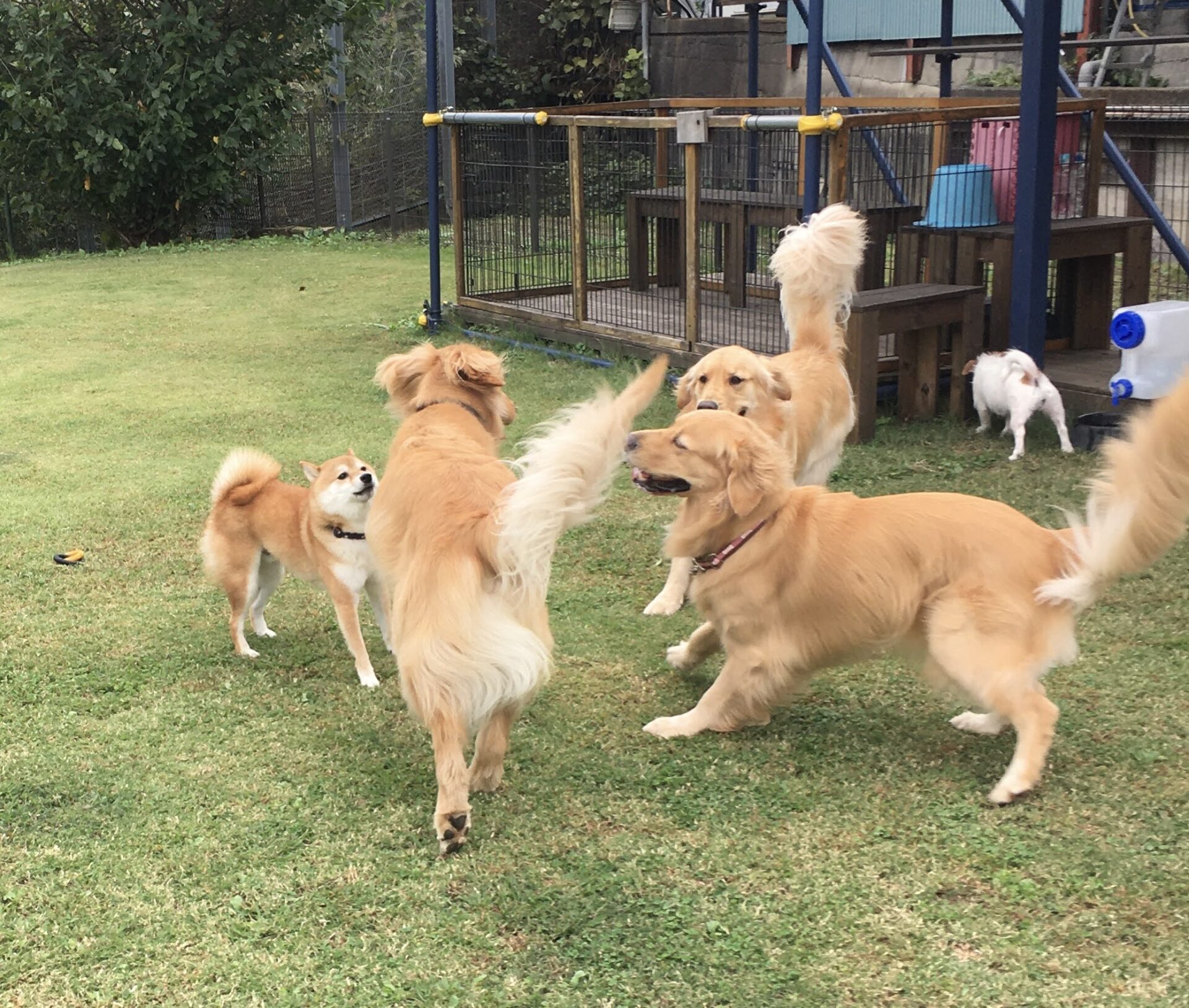 ファイル 8157-4.jpeg