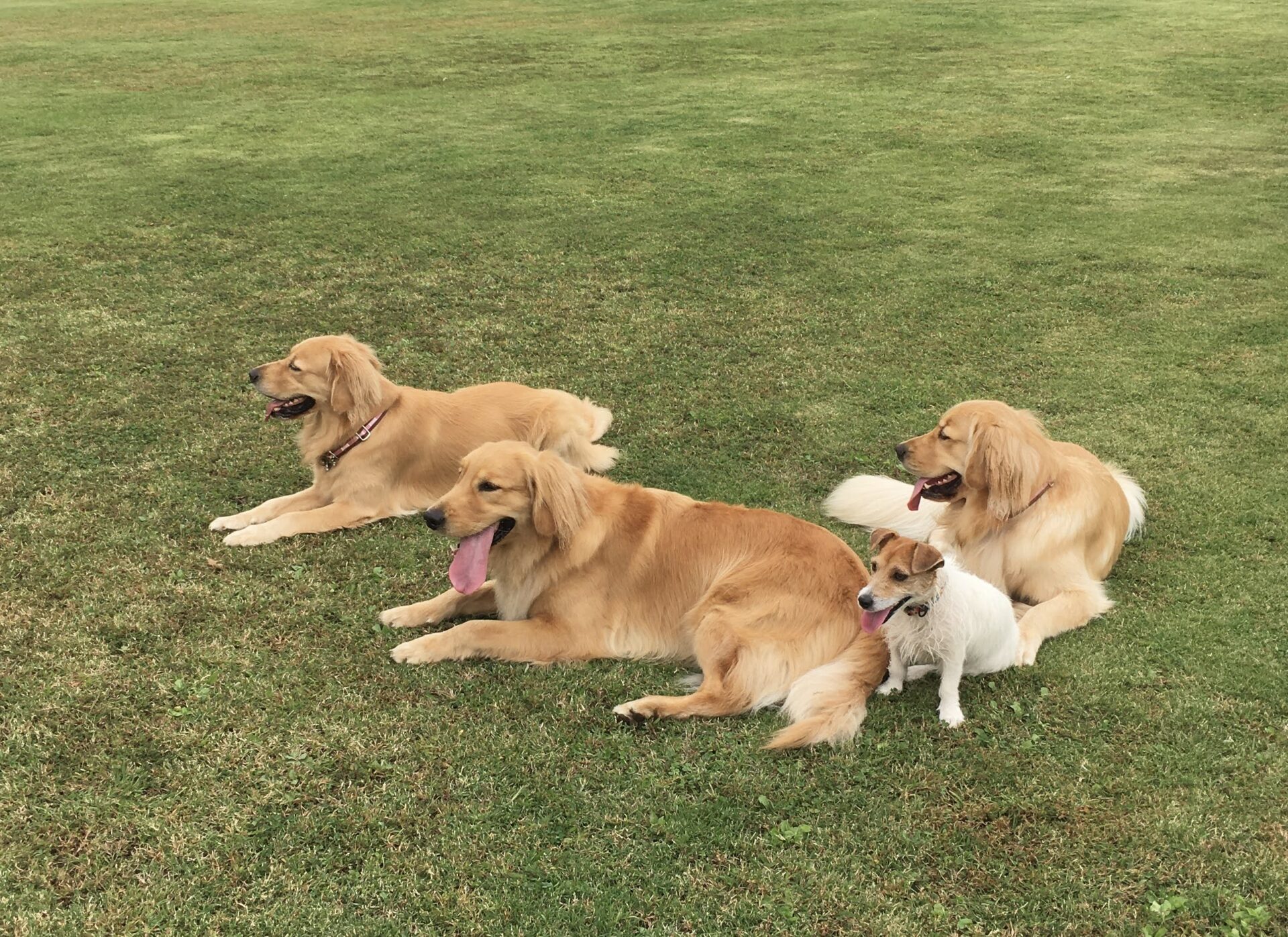 ファイル 8157-5.jpeg