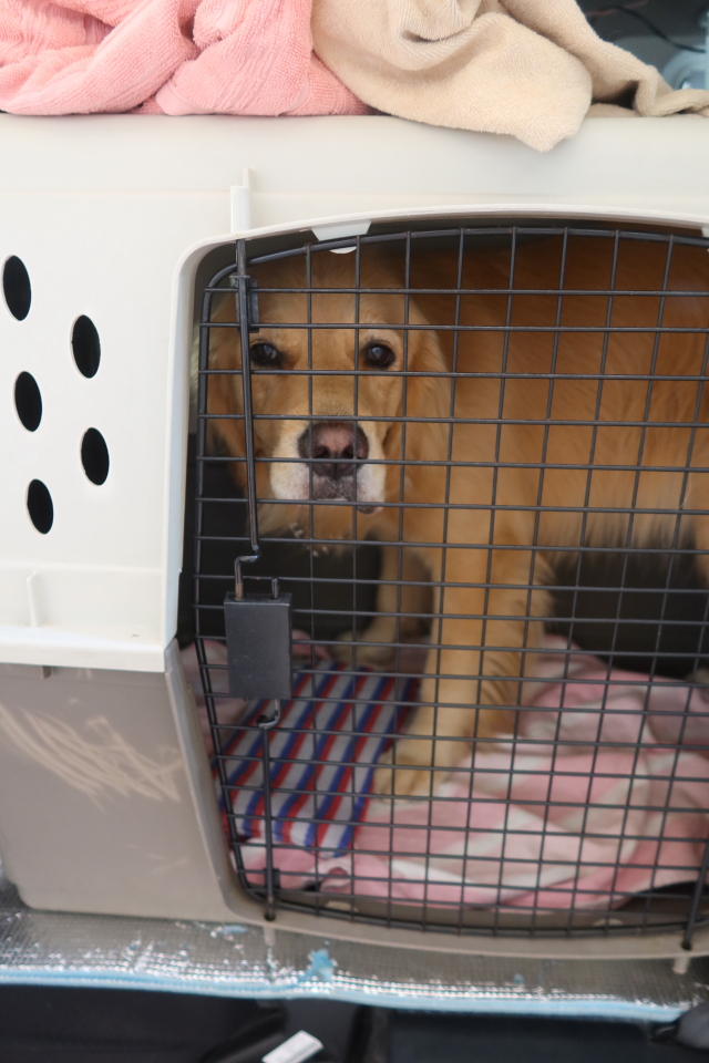 ファイル 8158-2.jpg