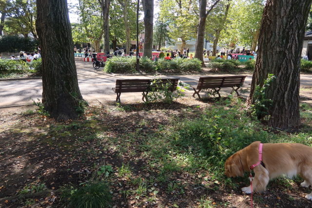 ファイル 8158-3.jpg