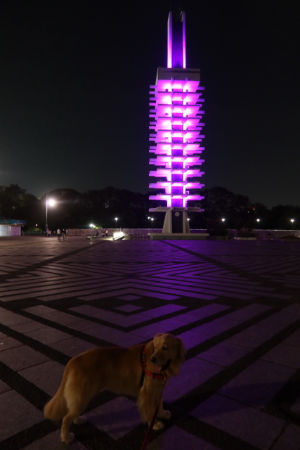 ファイル 8158-5.jpg