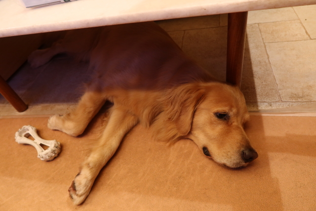 ファイル 8160-3.jpg