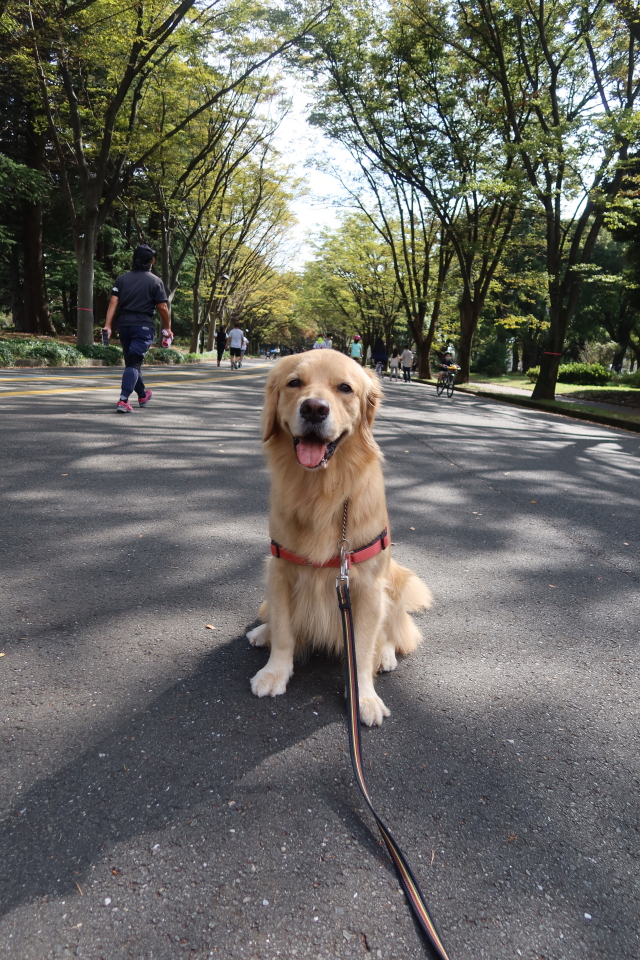 ファイル 8161-1.jpg