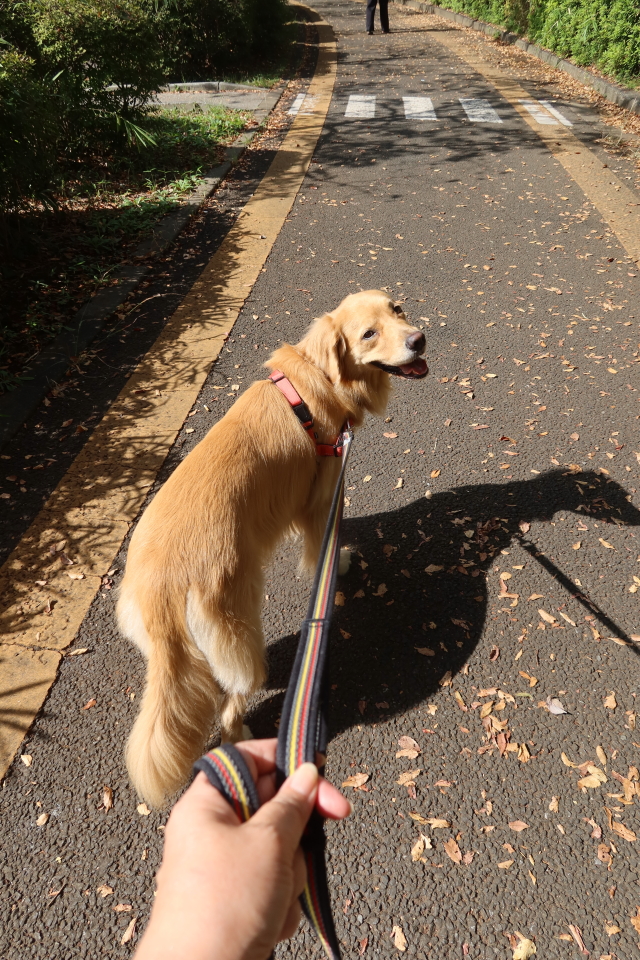 ファイル 8161-2.jpg