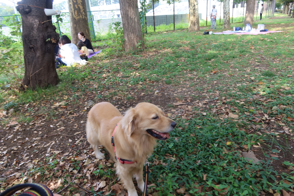 ファイル 8161-5.jpg